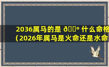 2036属马的是 🌺 什么命格（2026年属马是火命还是水命）